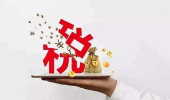 新城区优良信息科技公司注册服务放心可靠 西安通税财务咨询供应